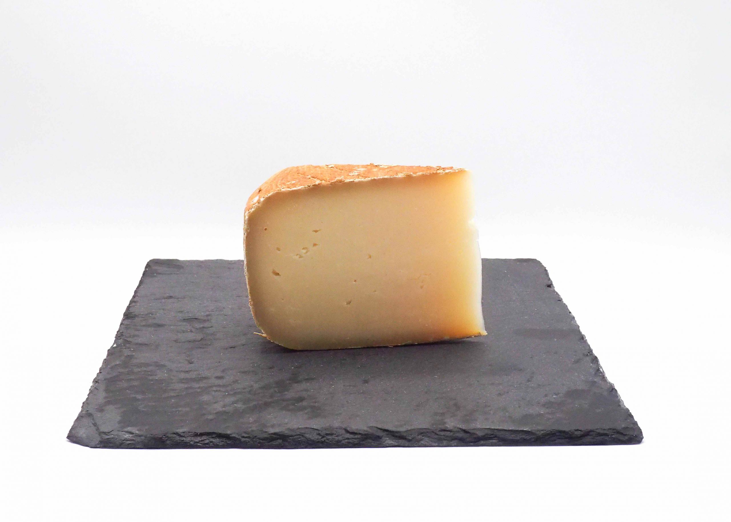 "NAPOLEON" TOMME DES PYRÉNÉES BREBIS VIEUX